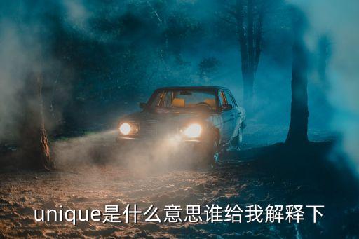 unique是什么意思誰給我解釋下