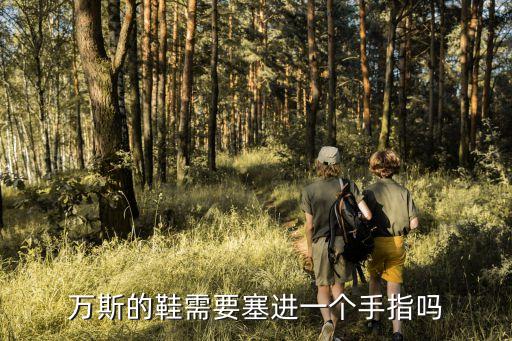 vans鞋帶系法,vans鞋帶系得更緊一些可防止鞋舌跑偏