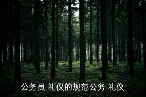 公務員 禮儀的規范公務 禮儀