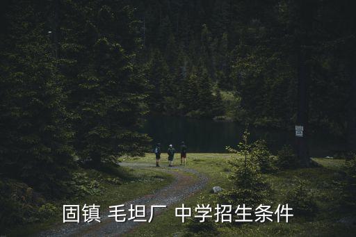 毛坦廠中學官網,六安毛坦廠中學是安徽省示范高中學校