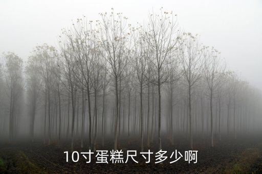 10寸蛋糕尺寸多少啊
