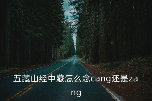 五藏山經(jīng)，五藏山經(jīng)中藏怎么念cang還是zang