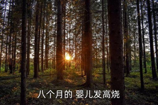 八個月的 嬰兒發高燒