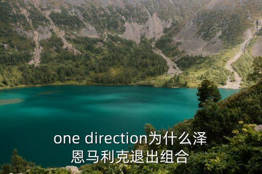 one direction為什么澤恩馬利克退出組合
