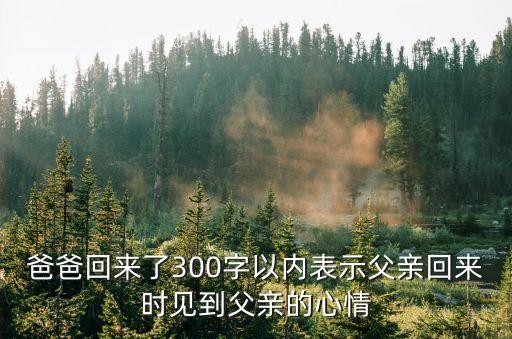爸爸回家了，爸爸回來(lái)了300字以?xún)?nèi)表示父親回來(lái)時(shí)見(jiàn)到父親的心情