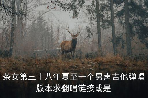 茶女第三十八年夏至一個男聲吉他彈唱版本求翻唱鏈接或是