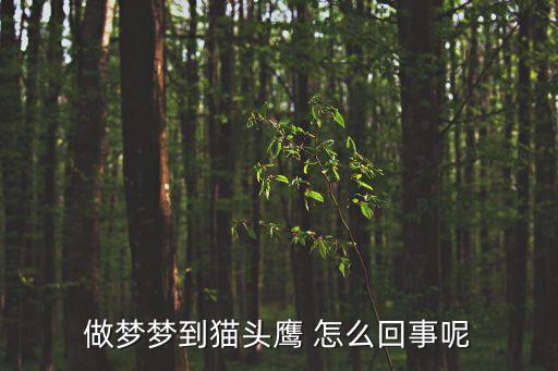 夢見貓頭鷹是什么預(yù)兆，夢見貓頭鷹何意