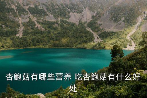 杏鮑菇的功效與作用，杏鮑菇的營養與功效
