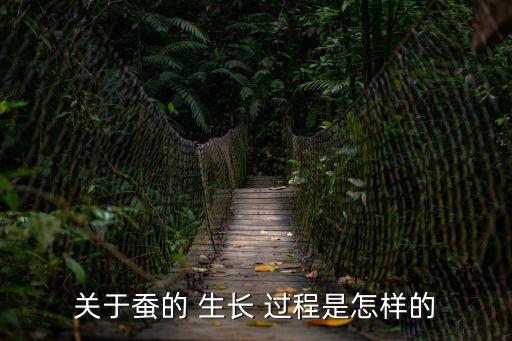 蠶的生長過程,蠶寶寶的生長過程