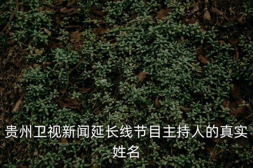 貴州衛視新聞延長線節目主持人的真實姓名