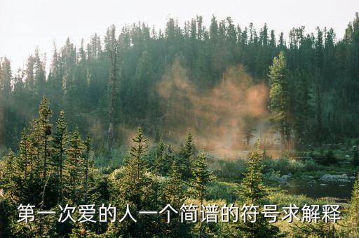第一次愛的人一個(gè)簡(jiǎn)譜的符號(hào)求解釋