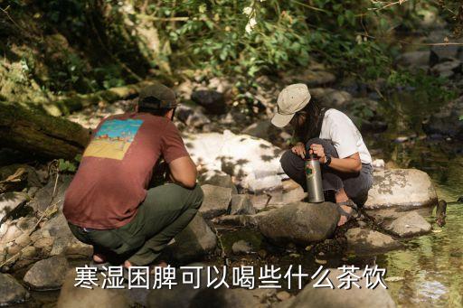 健脾祛濕喝什么茶，寒濕困脾可以喝些什么茶飲