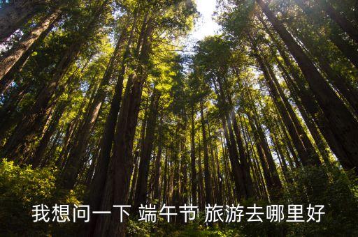 我想問一下 端午節 旅游去哪里好