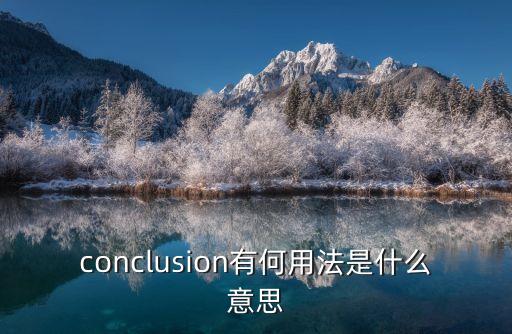 conclusion有何用法是什么意思