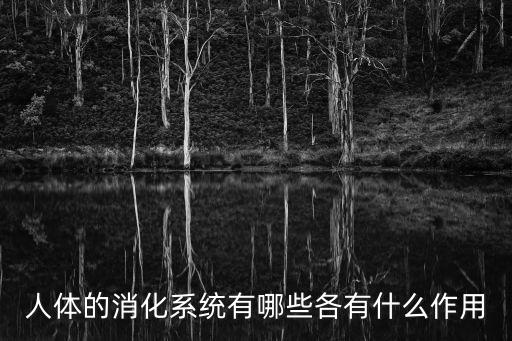 人體的消化系統有哪些各有什么作用