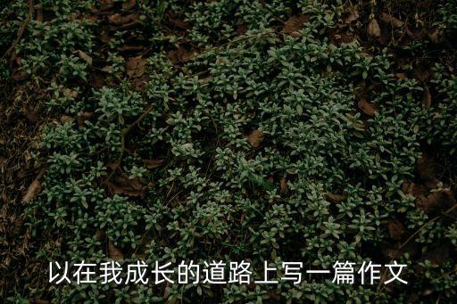 我的道路，以在我成長的道路上寫一篇作文
