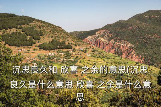沉思良久和 欣喜 之余的意思(沉思良久是什么意思 欣喜 之余是什么意思