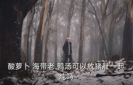 酸蘿卜 海帶老 鴨湯可以放豬肚一起燉嗎