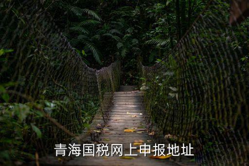 青海稅務局，青海國稅網上申報地址