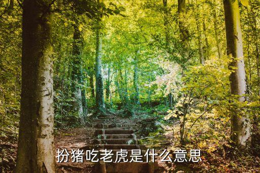 扮豬吃老虎是什么意思