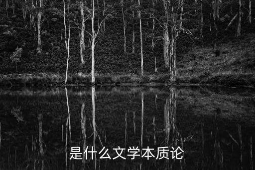 是什么文學本質(zhì)論