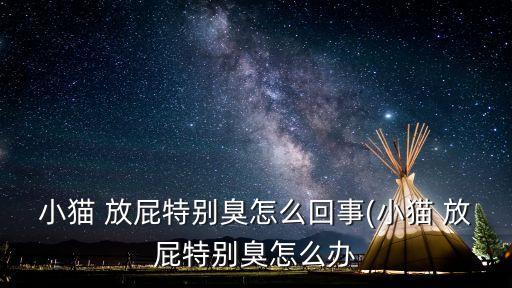 放屁臭怎么調(diào)理,關(guān)于貓屁的神秘歷史
