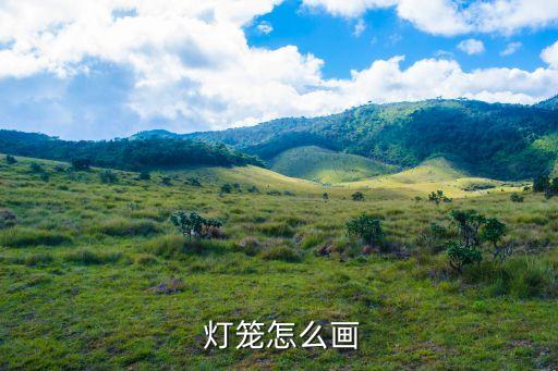燈籠圖案,手工制作燈籠步驟:先畫骨架和流蘇再畫細(xì)節(jié)