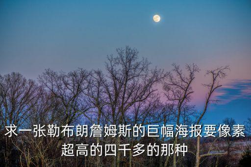 詹姆斯海報，求一張勒布朗詹姆斯的巨幅海報要像素超高的四千多的那種