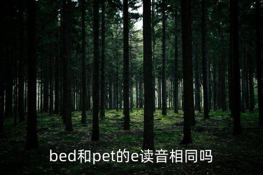 bed怎么讀英語，bed和pet的e讀音相同嗎