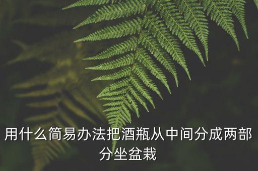 酒瓶盆景，用什么簡(jiǎn)易辦法把酒瓶從中間分成兩部分坐盆栽