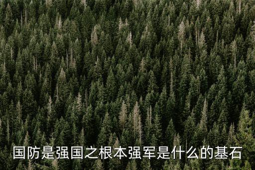 國防是強國之根本強軍是什么的基石
