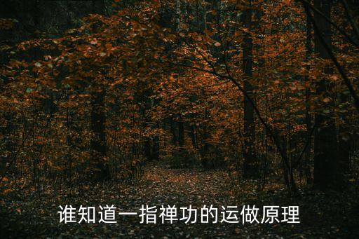 誰知道一指禪功的運做原理