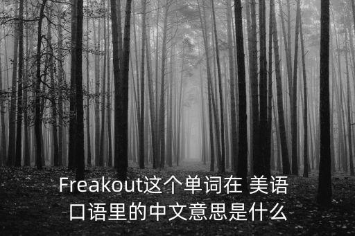 Freakout這個單詞在 美語 口語里的中文意思是什么