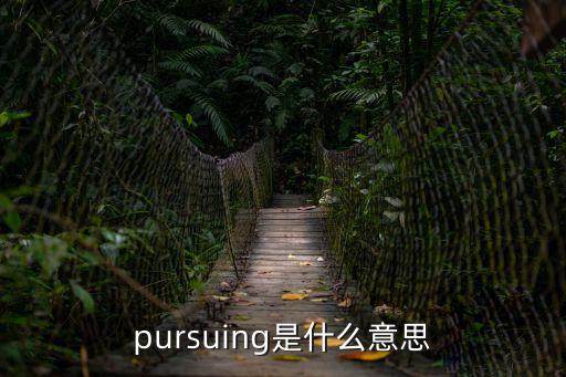 pursued， 角逐 pursue啥意思