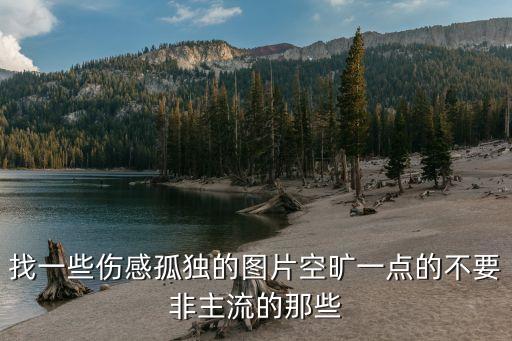 找一些傷感孤獨(dú)的圖片空曠一點(diǎn)的不要非主流的那些