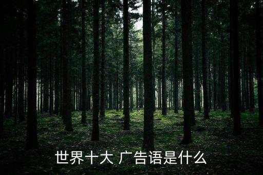 世界十大 廣告語是什么