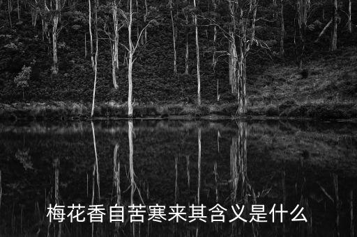 梅花香自苦寒來(lái)其含義是什么