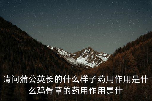 蒲公英全草圖片，蒲公英的圖片或壁紙