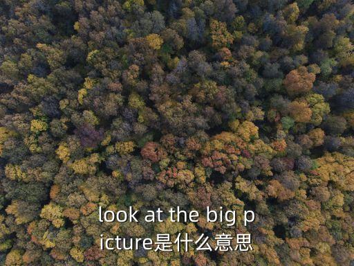look at the big picture是什么意思