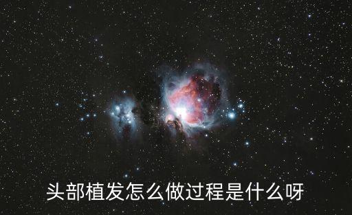 頭部植發怎么做過程是什么呀