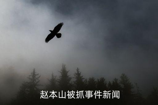 趙本山涉黑,趙本山涉黃涉毒被捕自殺未遂