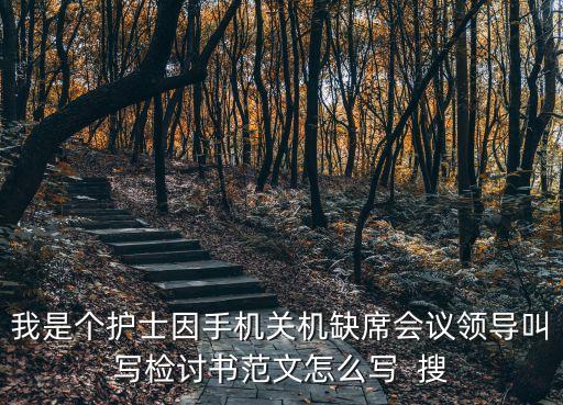 我是個護士因手機關機缺席會議領導叫寫檢討書范文怎么寫  搜