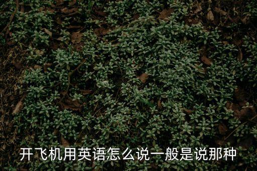 開飛機用英語怎么說一般是說那種