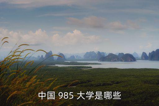 中國 985 大學是哪些