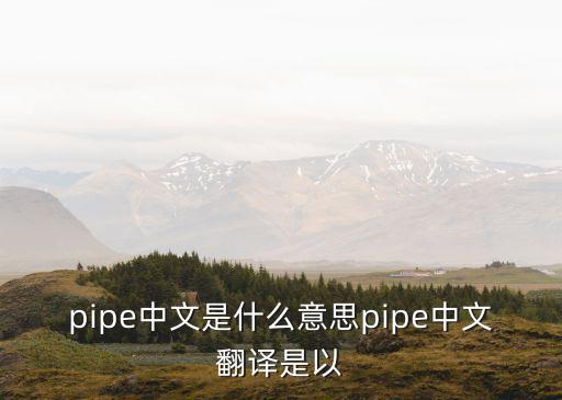 pipe中文是什么意思pipe中文翻譯是以