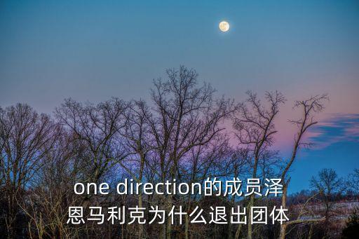 one direction的成員澤恩馬利克為什么退出團體