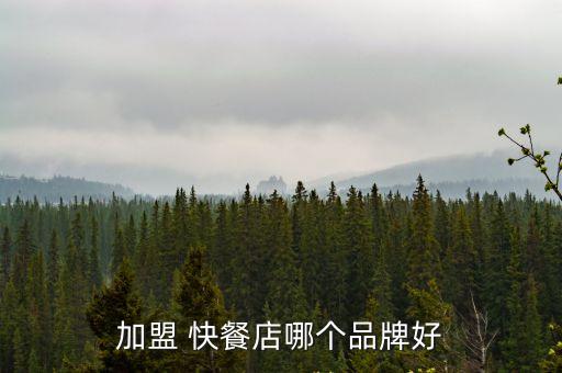 加盟 快餐店哪個(gè)品牌好