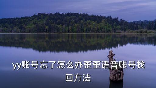  yy賬號(hào)忘了怎么辦歪歪語(yǔ)音賬號(hào)找回方法