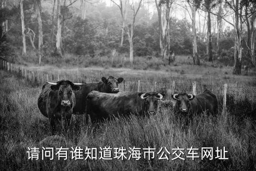 珠海公交車，珠海有幾個公交車公司