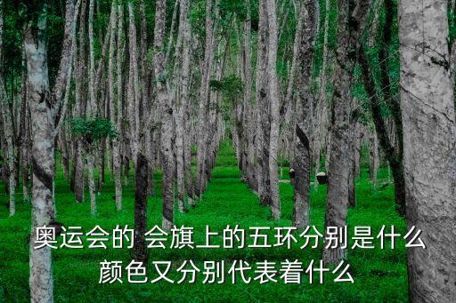 奧運會會旗,挪威奧斯陸市以冬季奧運會會旗交接